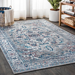 Padua Modern Persian Vintage Medallion Area Rug