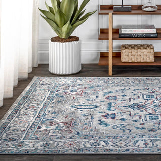 Padua Modern Persian Vintage Medallion Area Rug