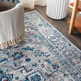 Padua Modern Persian Vintage Medallion Area Rug