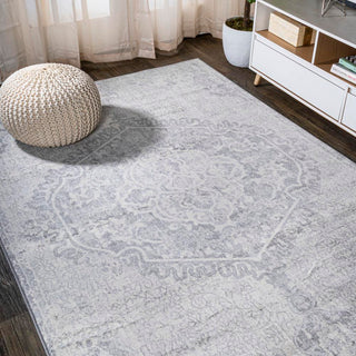 Mikaela Modern Persian Vintage Medallion Area Rug