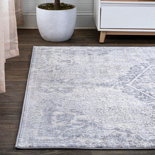 Padua Modern Persian Vintage Medallion Area Rug