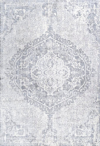 Padua Modern Persian Vintage Medallion Area Rug