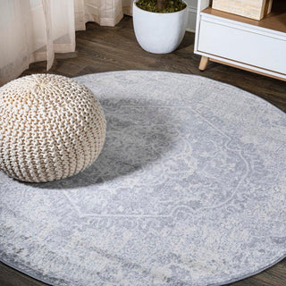 Mikaela Modern Persian Vintage Medallion Area Rug