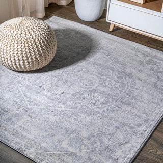 Mikaela Modern Persian Vintage Medallion Area Rug