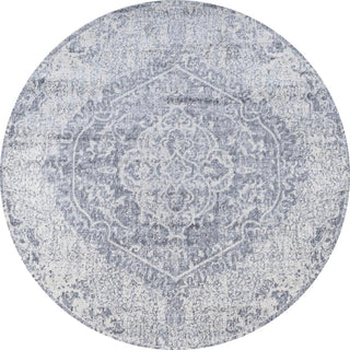 Mikaela Modern Persian Vintage Medallion Area Rug