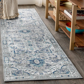 Morioka Modern Persian Vintage Medallion Area Rug