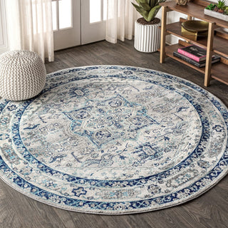 Morioka Modern Persian Vintage Medallion Area Rug