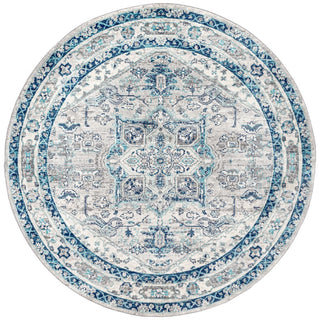 Morioka Modern Persian Vintage Medallion Area Rug