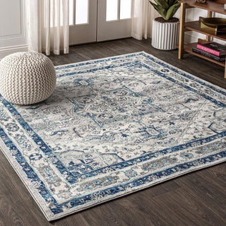 Morioka Modern Persian Vintage Medallion Area Rug