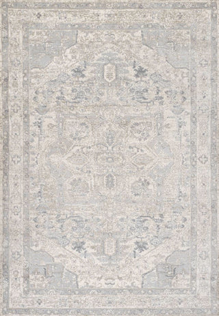 Morioka Modern Persian Vintage Medallion Area Rug