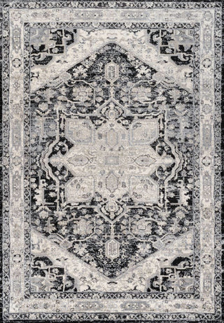 Morioka Modern Persian Vintage Medallion Area Rug