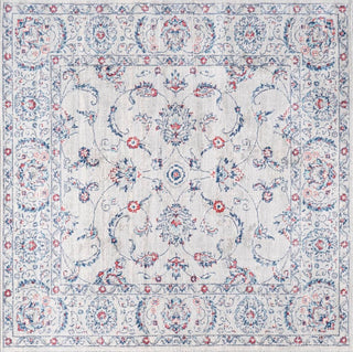 Amy Modern Persian Vintage Area Rug