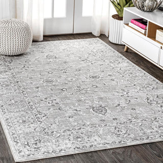 Amy Modern Persian Vintage Area Rug