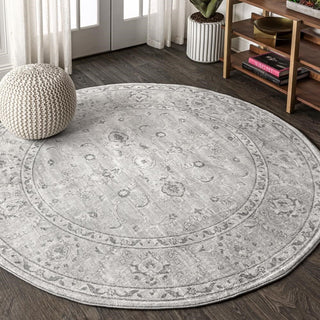 Amy Modern Persian Vintage Area Rug