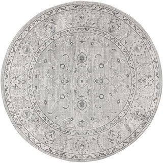 Amy Modern Persian Vintage Area Rug