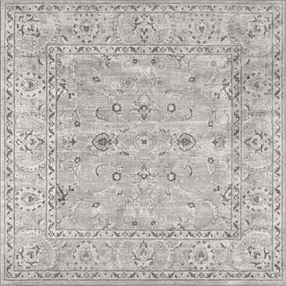 Amy Modern Persian Vintage Area Rug