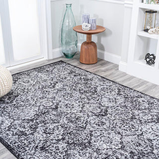 Austin Modern Persian Boho Vintage Area Rug