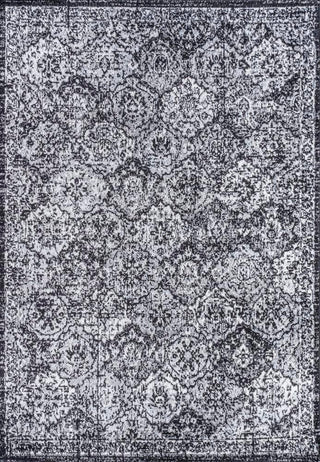 Austin Modern Persian Boho Vintage Area Rug