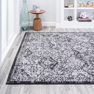 Austin Modern Persian Boho Vintage Area Rug