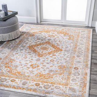 Boulia Indhira Ornate Medallion Persian Area Rug