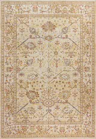 Pinzon Alba Modern Faded Peshawar Area Rug