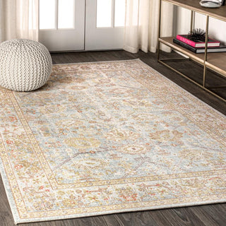 Pinzon Alba Modern Faded Peshawar Area Rug