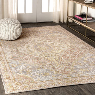 Rabida Petras Modern Ornate Medallion Area Rug