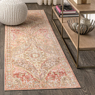 Rabida Petras Modern Ornate Medallion Area Rug