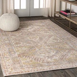 Bioko Darija Ornate Geometric Medallion Area Rug