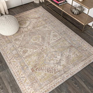 Bioko Darija Ornate Geometric Medallion Area Rug