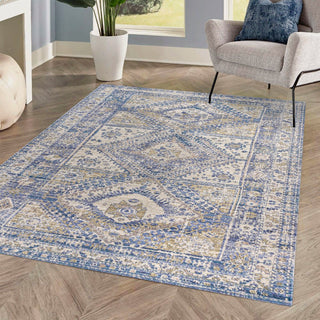 Bioko Darija Ornate Geometric Medallion Area Rug