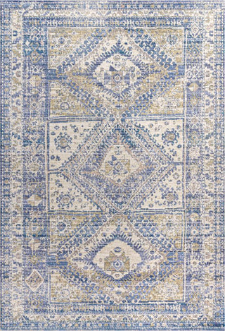 Bioko Darija Ornate Geometric Medallion Area Rug