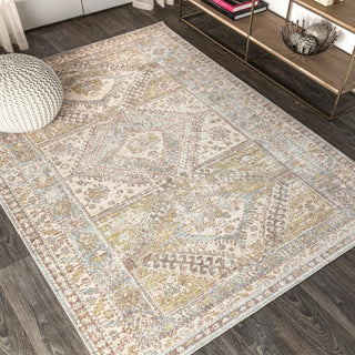 Bioko Darija Ornate Geometric Medallion Area Rug