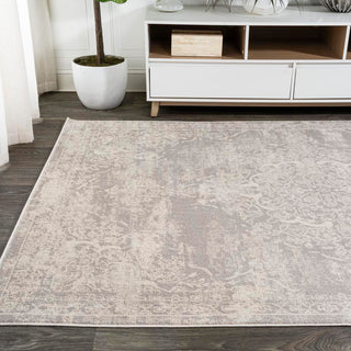 Danube Alhambra Ornate Medallion Modern Area Rug