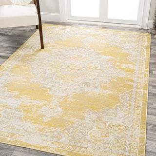 Danube Alhambra Ornate Medallion Modern Area Rug