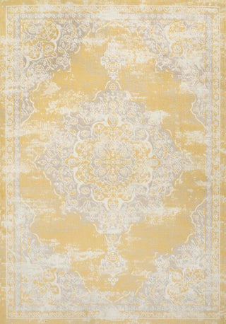 Danube Alhambra Ornate Medallion Modern Area Rug