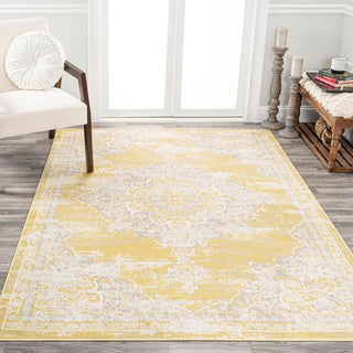 Danube Alhambra Ornate Medallion Modern Area Rug