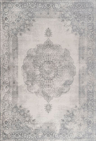 Face Cottage Medallion Area Rug