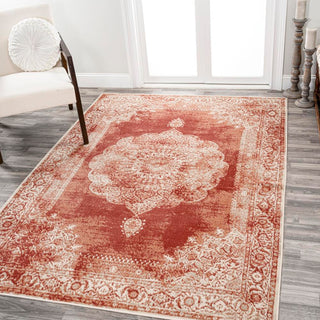 Face Cottage Medallion Area Rug