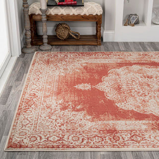 Face Cottage Medallion Area Rug