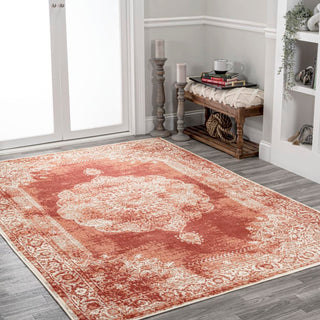 Face Cottage Medallion Area Rug