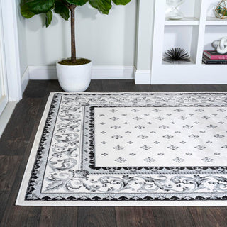 Luanza Acanthus French Border Area Rug