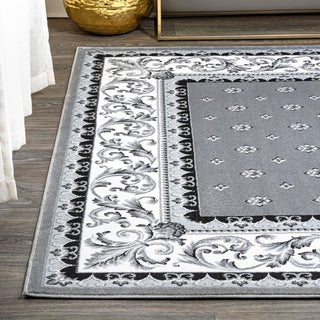 Luanza Acanthus French Border Area Rug