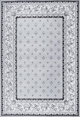 Luanza Acanthus French Border Area Rug