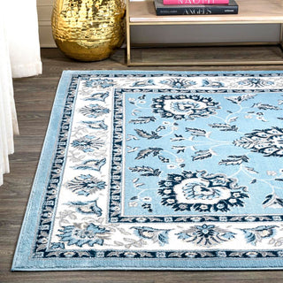 Buluko Cherie French Cottage Area Rug