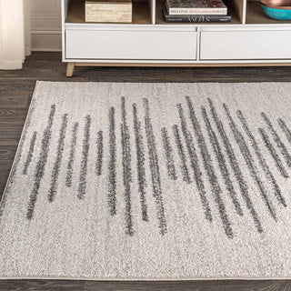 Western Aya Berber Stripe Geometric Area Rug