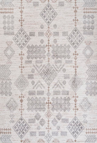 Vulpecula Bhalil Berber Diamond Geometric Area Rug