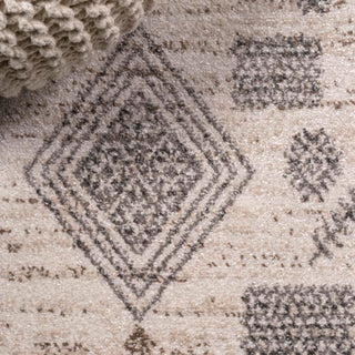 Vulpecula Bhalil Berber Diamond Geometric Area Rug