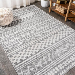 Chamaeleon Imlil Tribal Geometric Stripe Area Rug