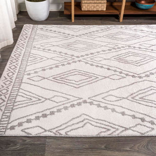 Palmerston Rih Moroccan Style Diamond Area Rug